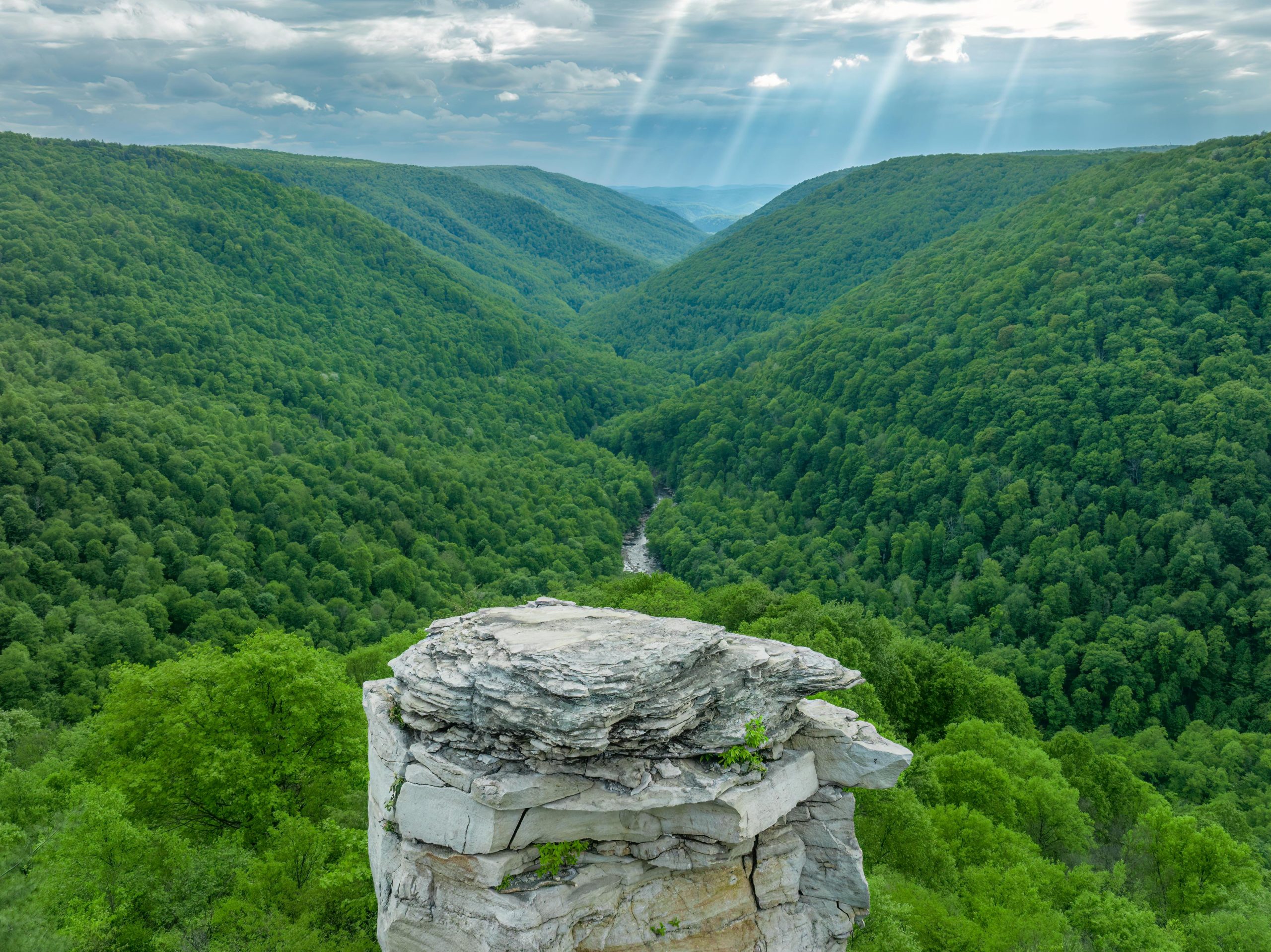 West Virginia State Taxes