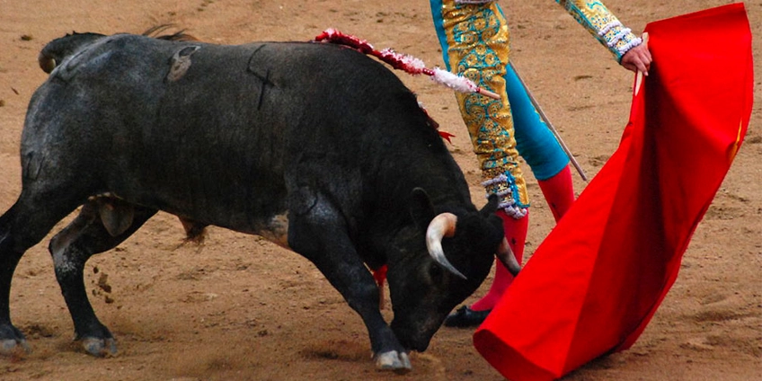 Banderas rojas del IRS a evitar