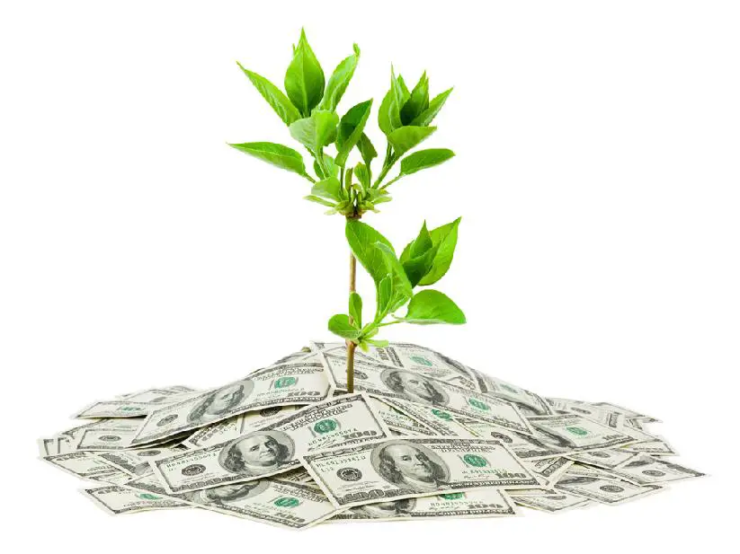 IRS Extends the Estate Tax Filing Deadline