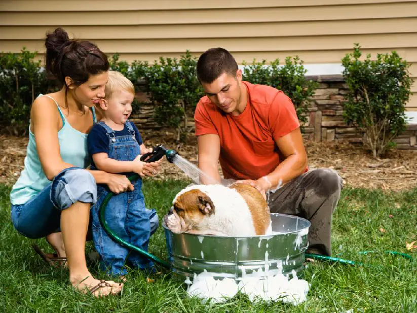 The Adoption Tax Credit