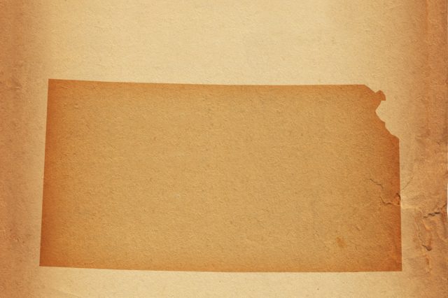 article-image