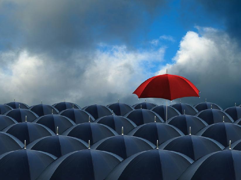 What are life insurance policy provisions?
