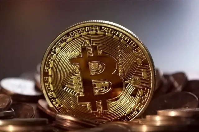 article-image